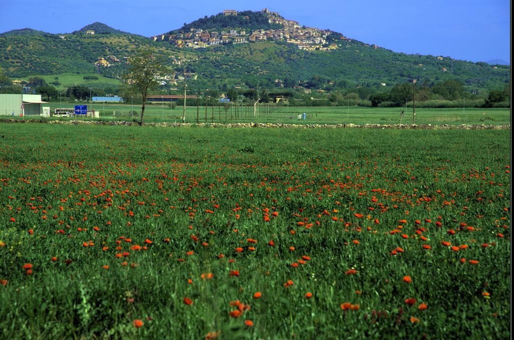 Ferienwohnung Agri Domus Guidonia Exterior foto